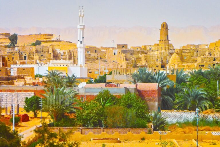 Dakhla Oasis - A Desert Oasis with History and Beauty