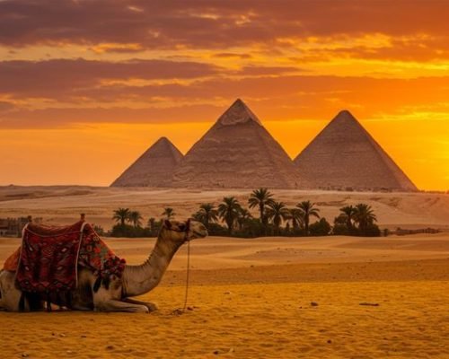 Majestic,Pyramids,Of,Giza,At,Sunset,With,Camel,In,Egyptian