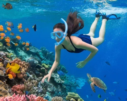 Snorkeling Trip at Sataya Dolphin Reef1