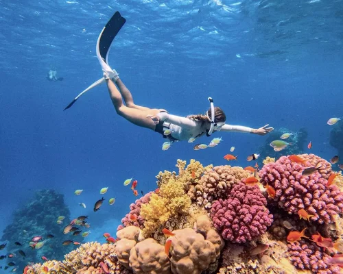 Snorkeling Trip at Sataya Dolphin Reef2